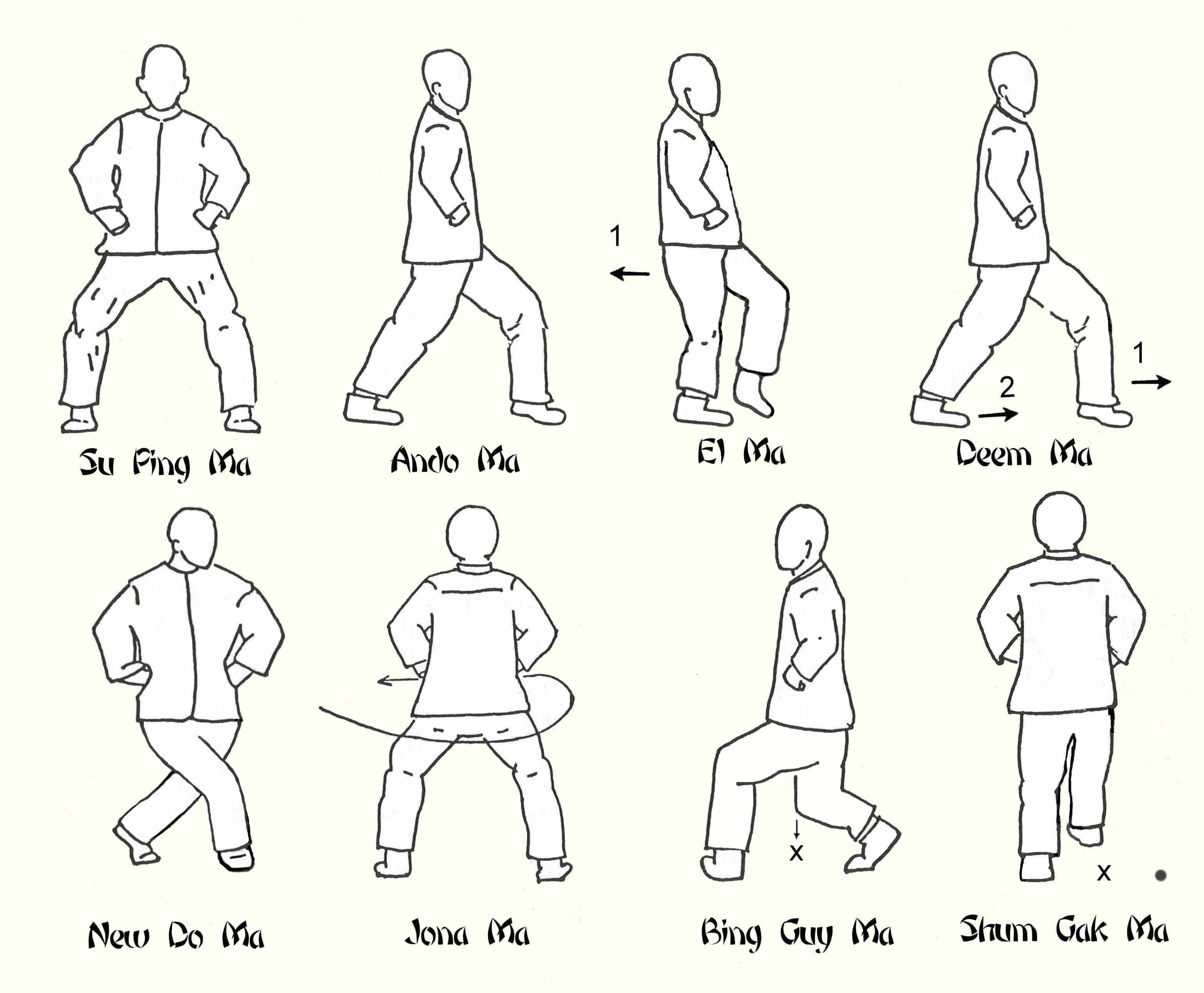 basic kung fu steps